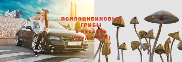 мяу мяу мука Пикалёво